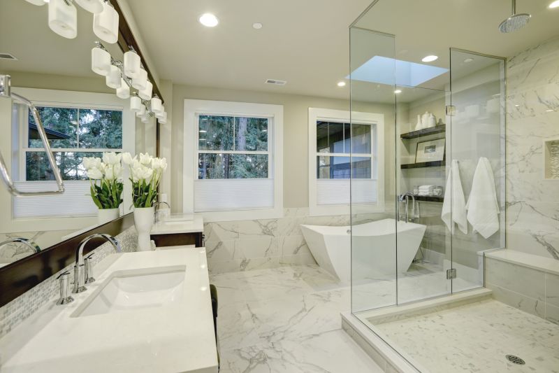 Modern Shower Areas